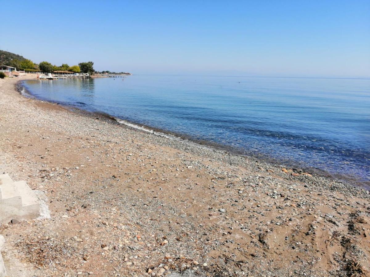 Assos Yali Butik Otel Beach Ahmetce  ภายนอก รูปภาพ